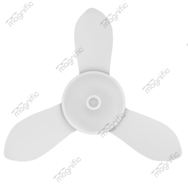 Contemporary Ceiling Fans by Magnific Fans