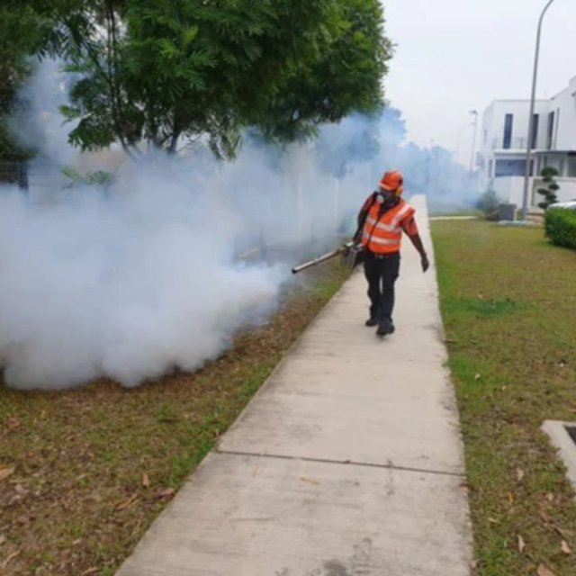 Pest Control Services Singapore