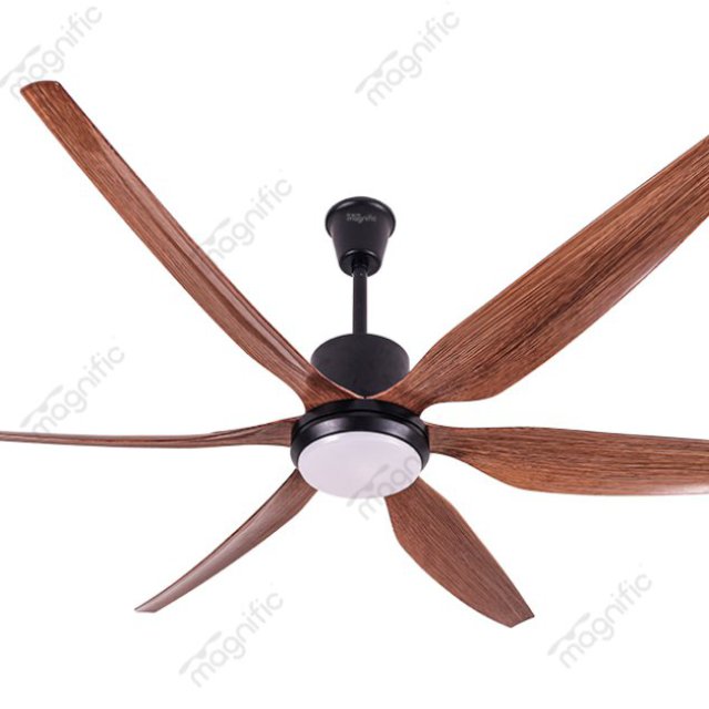 Decorate Your Home With Magnific Home Appliances | Decorative Ceiling Fan With Light