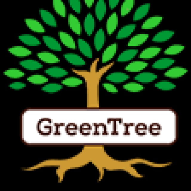 GreenTree- Best Yoga Accessories Dubai