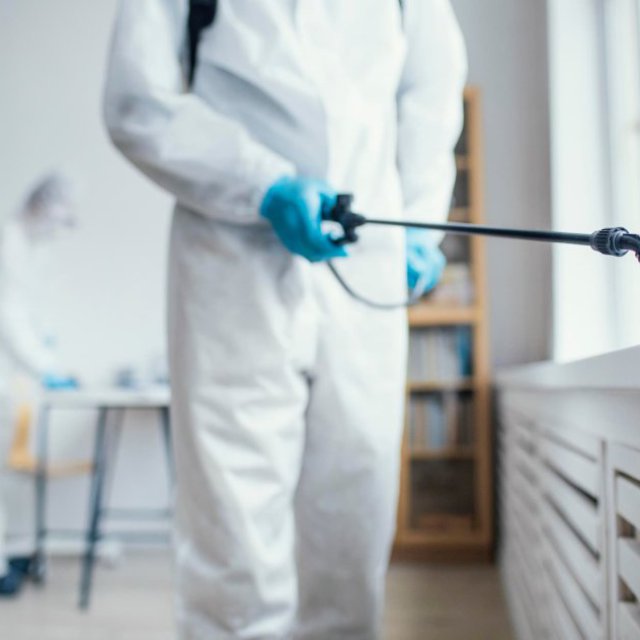 Bed Bug Pest Control Service in Singapore