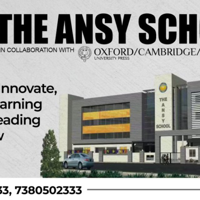 The ANSY School