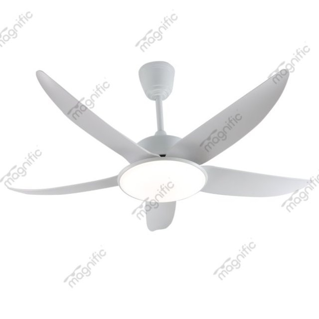 Discover Unique Ceiling Fans with Lights at Magnific Home Appliances