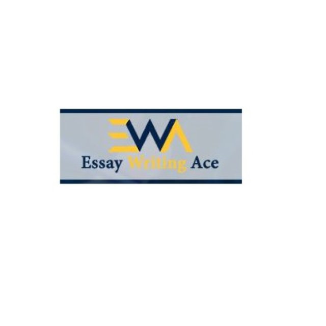 Essay Writing Ace