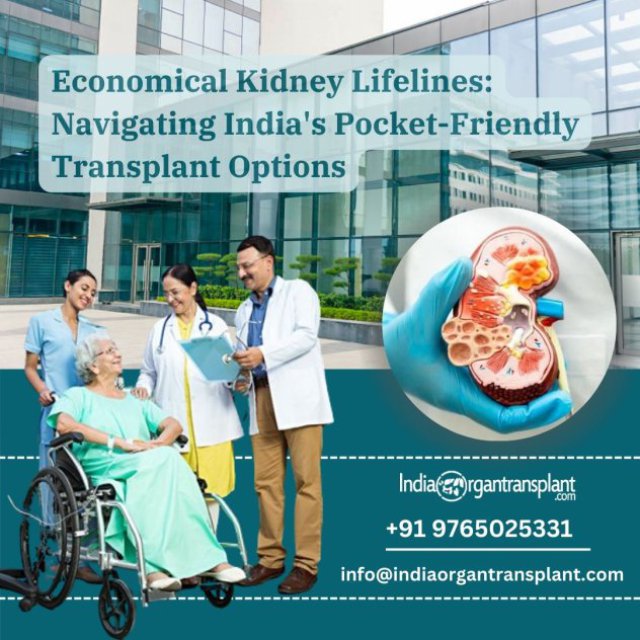Top 12 List of Kidney Transplant Surgery Hospitals in India