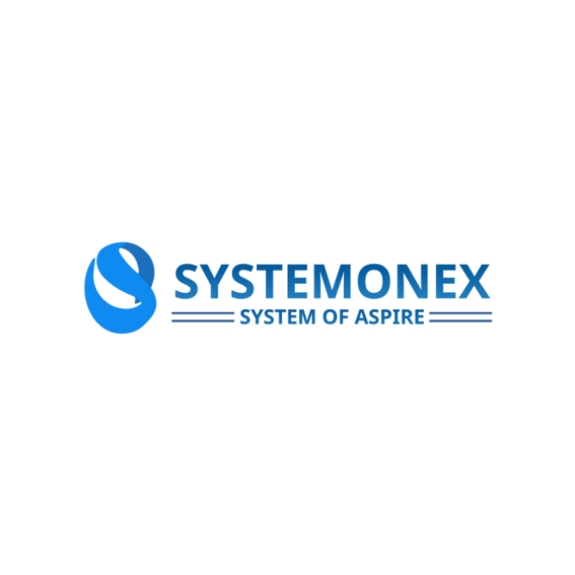 SystemOneX INC