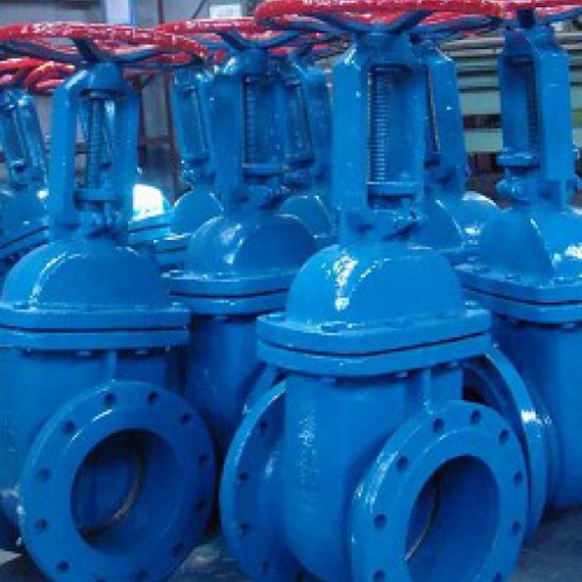 Rising Stem Gate valve manufacturer in India