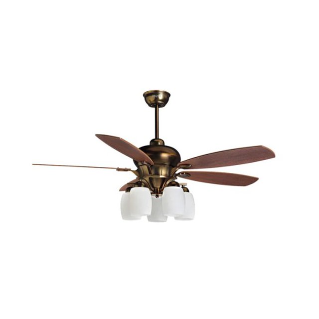 Choosing Quality Contemporary Ceiling Fans for Your Home in Tiruppur| Magnific Home Appliances