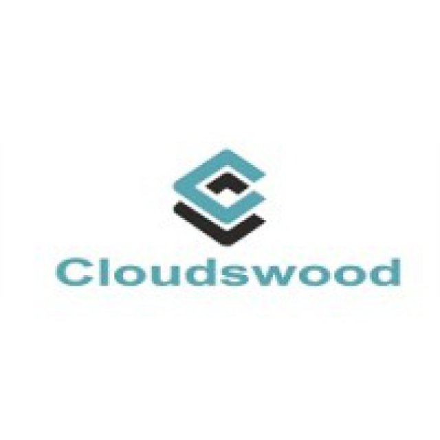 CLOUDSWOOD TECHNOLOGIES PVT LTD - Best Hot Inks Rolls