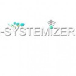 E-Systemizer