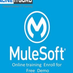 Job assistance and placement on  Mulesoft online training