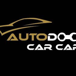 Best Car Repair Service Center in Delhi - Auto Dock Car Care - 18008438000 