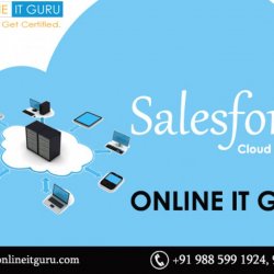 SalesForce online training |SalesForce online course