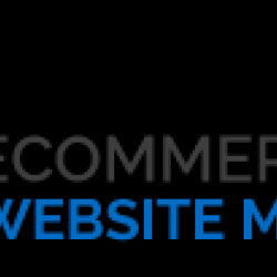 Ecommerce Website Marketing