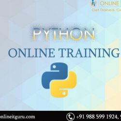 Python Online course with Hands On Experience