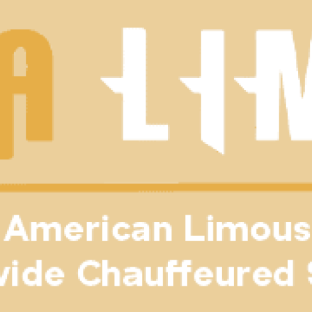All American Limousine Service Inc.