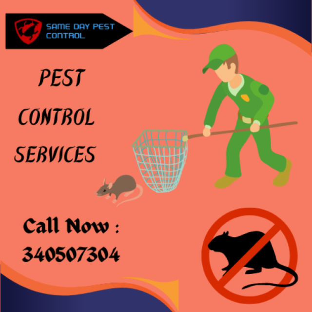Pest Control Richmond