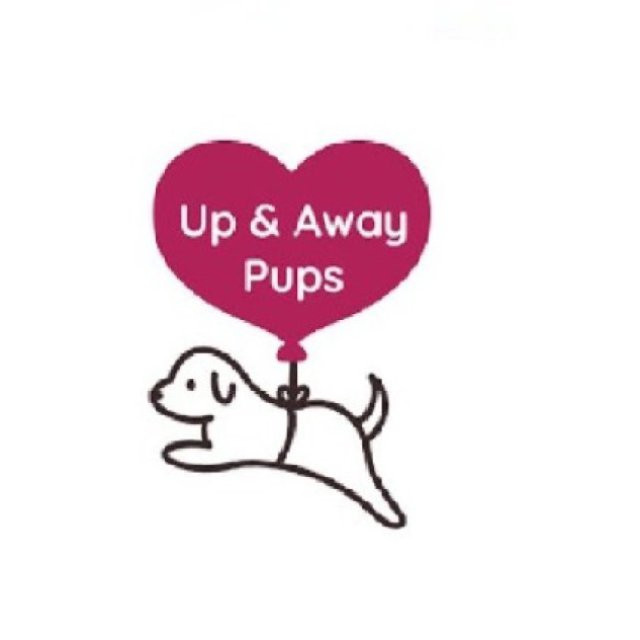 Up & Away Pups