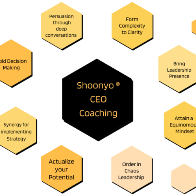 Shoonyo CEO Coaching