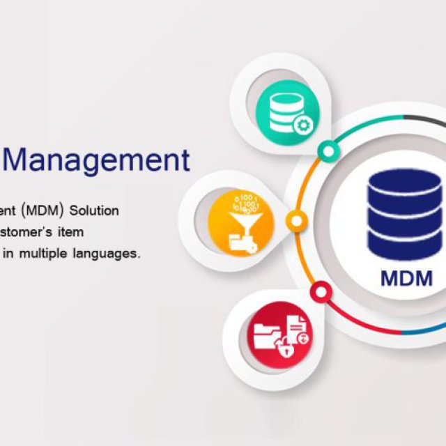 Best Master Data Management Solutions Tool for Businesses
