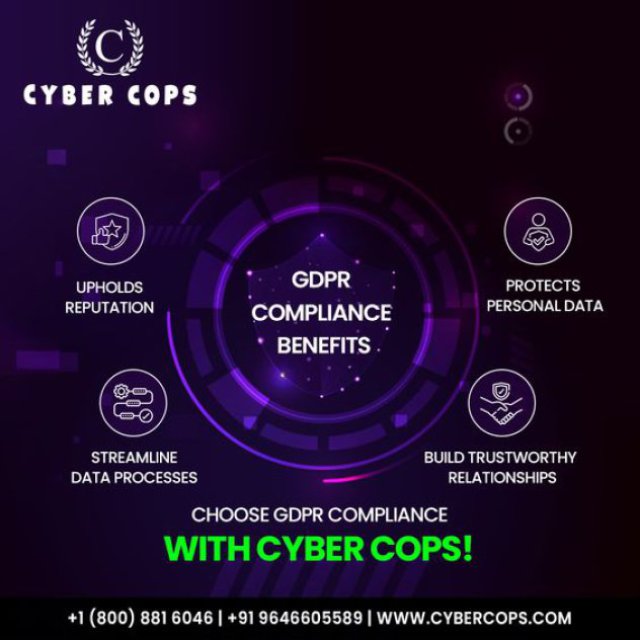 GDPR Compliance Audit & Consulting Services  - Cyber Cops