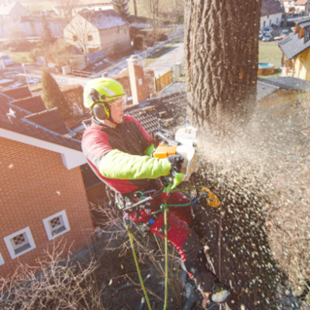 Coventry Tree Services