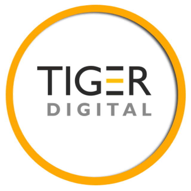 Expert SEO Services in Vadodara | Tiger Digital