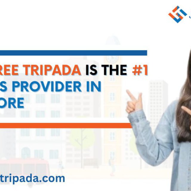 Why Shree Tripada is the 1 Bulk SMS Provider in Bangalore