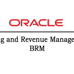 Oracle BRM Online Training Realtime support from Hyderabad