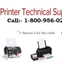How To Fix Paper Jamming Errors of Canon Printer Dial 1-800-956-0247