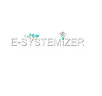 E-systemizer