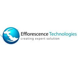 Efflorescence Technologies Pvt.  Ltd