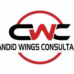 Candid Wings Consultants Private limited