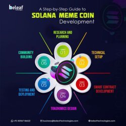 What feature makes Solana meme coins stand out in the 2024 crypto market?