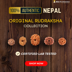 Eka Rudraksha
