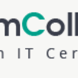 Myexamcollection