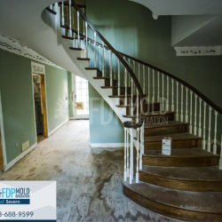 FDP Mold Remediation of Severn