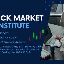 Stock Market Institute
