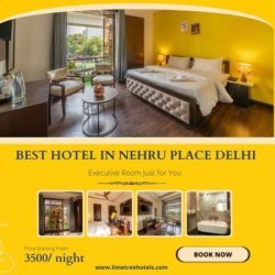 hotel In Nehru Place