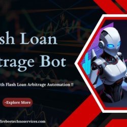 Flash Loan Bot Development Provider