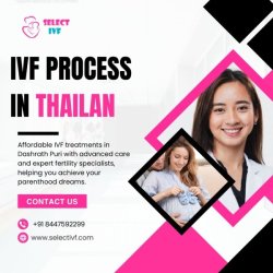 IVF process in Thailand