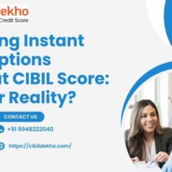 Low CIBIL Score? Get Instant Loans Without Hassle