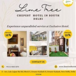 Hotels in South Delhi/Lime tree hotels