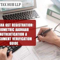 Sap Tax hub LLP