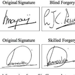 Signature Comparison Expert Delhi - India Handwriting Expert