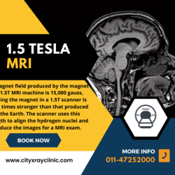 1.5 Tesla MRI Price What You Need to Know