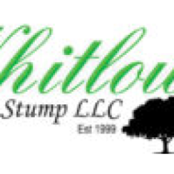 Whitlow Tree & Stump
