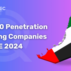 Penetration Testing Companies in UAE