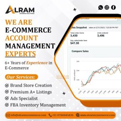 Alram Business Solutions