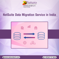 NetSuite Data Migration Service in India